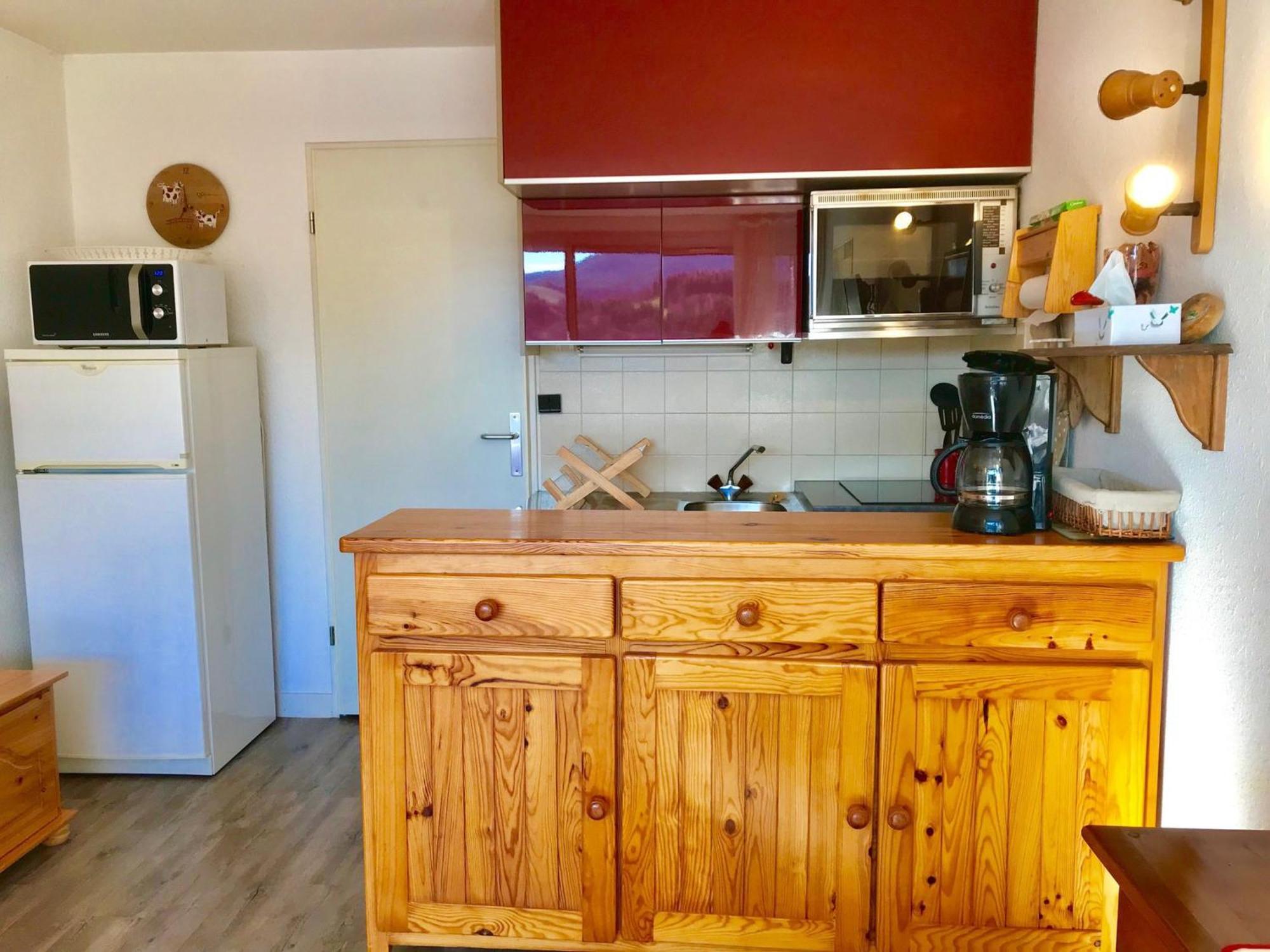 Studio Cabine 33M² Avec Balcon Au Centre Du Village - Fr-1-515-68 فيلارد دي لانس المظهر الخارجي الصورة